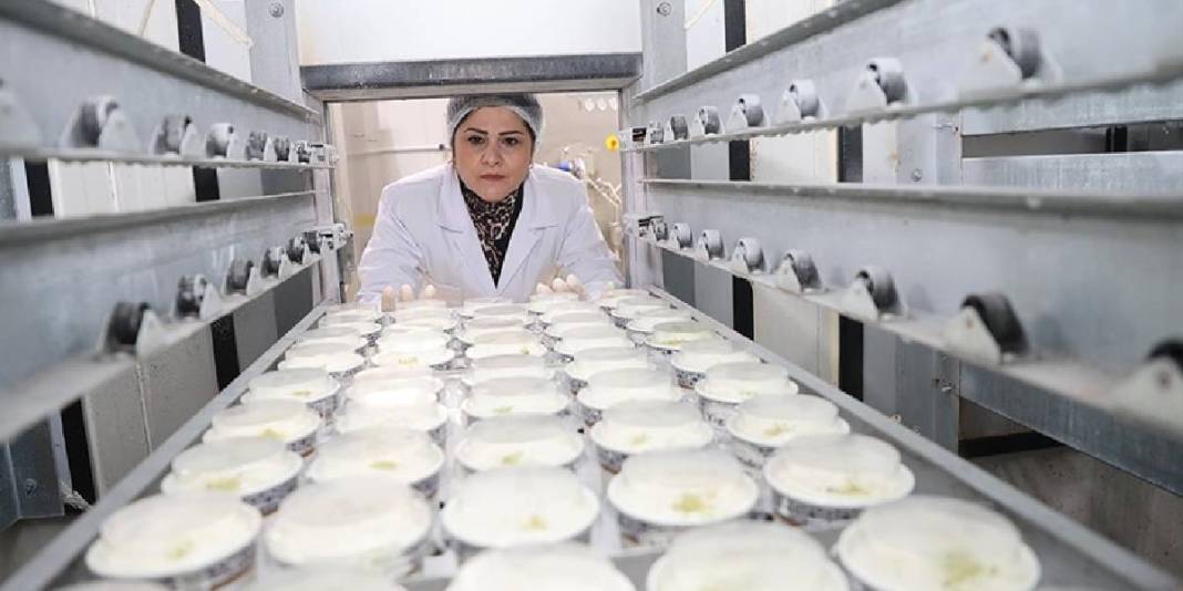 Pazarlamacı olarak başladı 17 yıl sonra tesisini kurdu: Yılda 700 ton üretim yapıyor 1
